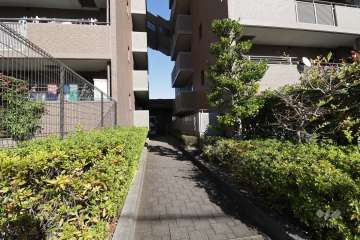 敷地内の通路