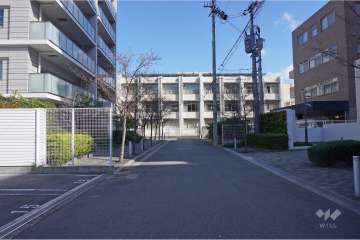 敷地南側の前面道路(西側から)