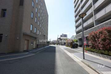 敷地南側の前面道路