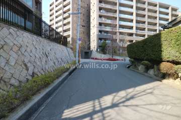 敷地東側前面道路