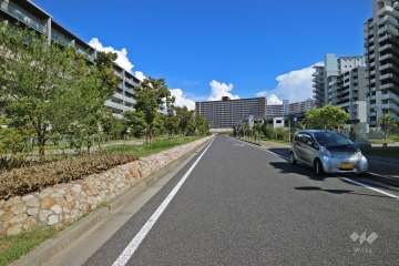 敷地南西側の前面道路（西側から）