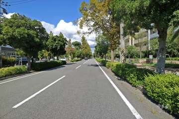 敷地西側の前面道路（南側から）