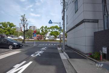 敷地北側の前面道路（西側から）