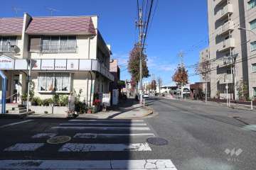 敷地西側の前面道路