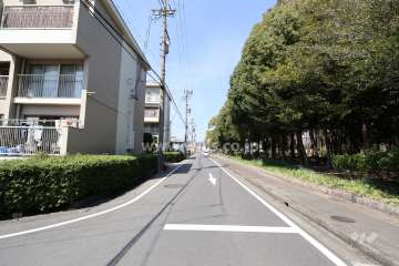 敷地の東側前面道路（南側から）