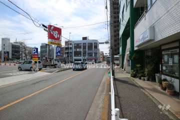 敷地東側の前面道路(北側から)
