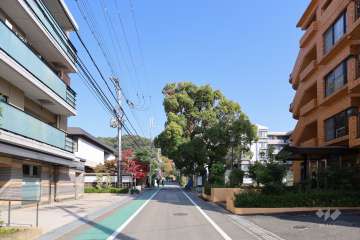 敷地東側の前面道路（南側から）