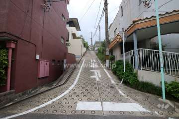 敷地の西側前面道路(東側から)