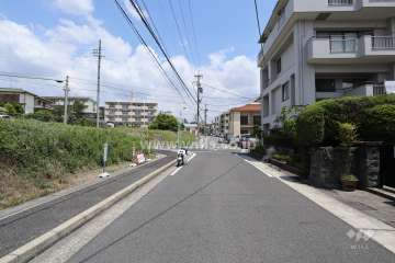 敷地の西側前面道路（南側から）