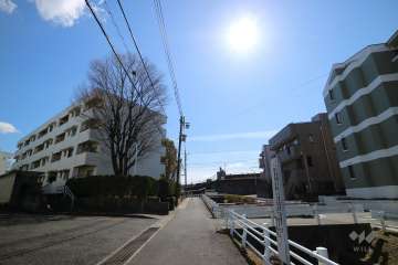 敷地西側の前面道路（北側から）
