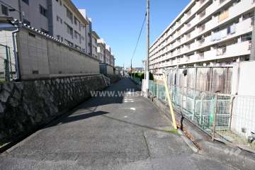 敷地南側の前面道路（東側から）