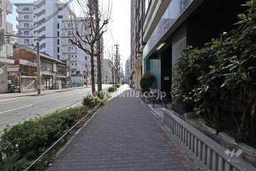 敷地東側の前面道路（北側から）