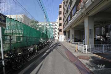敷地西側の前面道路（南側から）