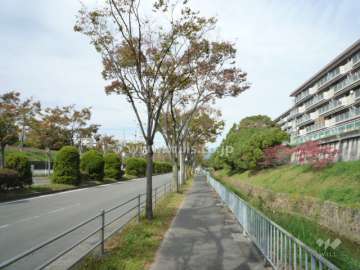 マンションの西側に摂津箕面線があります