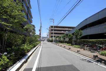 敷地東側の前面道路