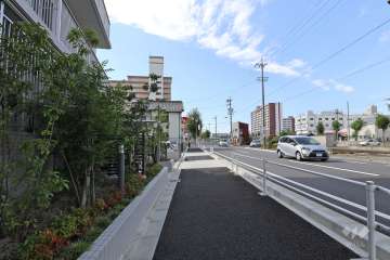 敷地の西側前面道路（北側から）