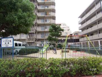 マンションの向かいの公園