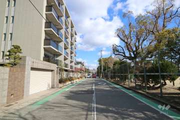 敷地南側の前面道路　