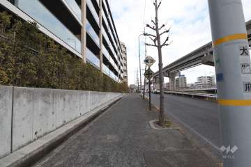 敷地南側の前面道路（西側から）