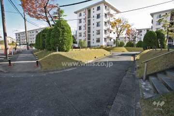 敷地北側の前面道路(北西側から)