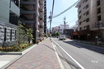 敷地西側の前面道路（北側から）