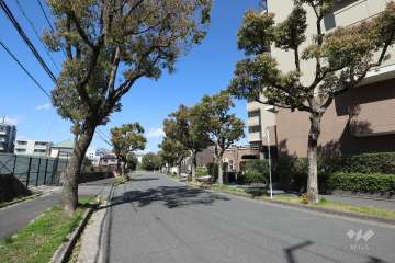 敷地西側の前面道路