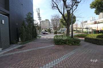 敷地北側の前面道路（東側から）