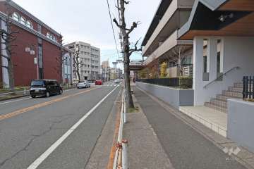 敷地南側の前面道路