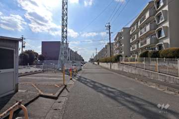 敷地南側前面道路