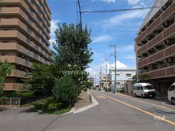 敷地南側の前面道路との間には緑地と遊歩道があります。