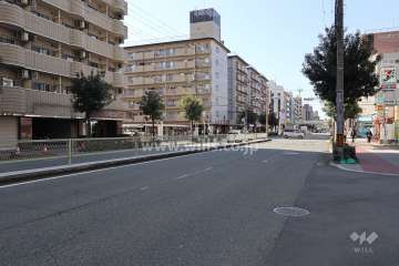 敷地の南側前面道路(東側から)