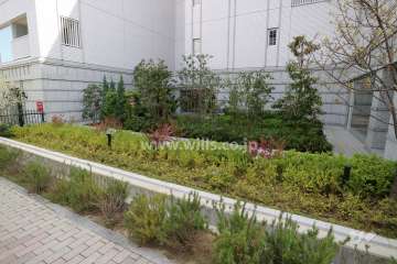 植栽スペース