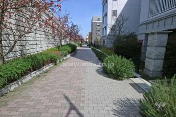 敷地北側の前面道路（西側から）