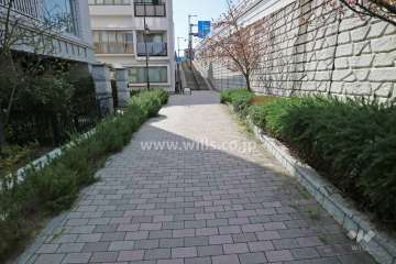 敷地北側の前面道路（東側から）