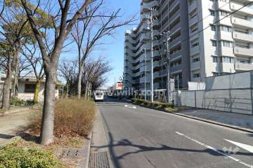 敷地北側の前面道路
