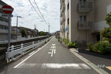 敷地東側の前面道路（北側から）