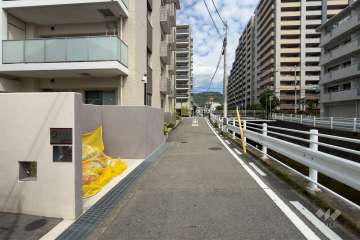 敷地東側の前面道路（南側から）