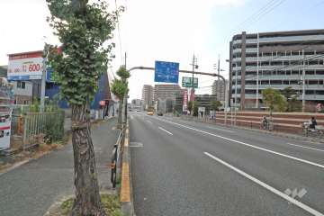 敷地南側の前面道路（東側から）
