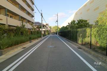敷地東側の前面道路