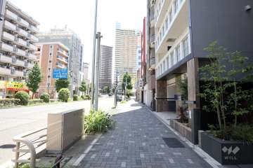 敷地北側の前面道路（西側から）