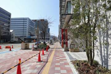 敷地南側の前面道路（国道19号線　桜通）