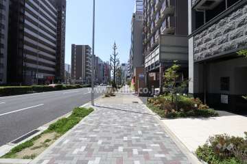 敷地南側の前面道路（東側から）