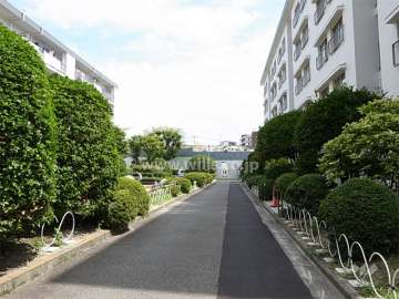 A-3棟北側の通路。敷地内は植栽スペースが多く、緑豊かです。