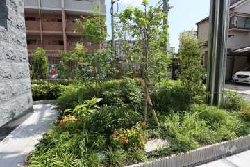 植栽スペース