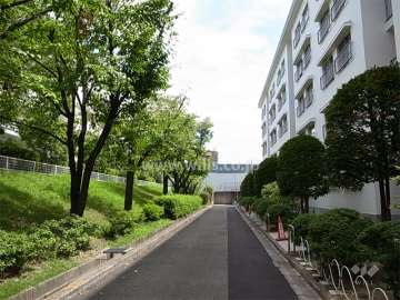 A-4棟北側の通路（敷地内は植栽スペースが多く、緑豊かです。）