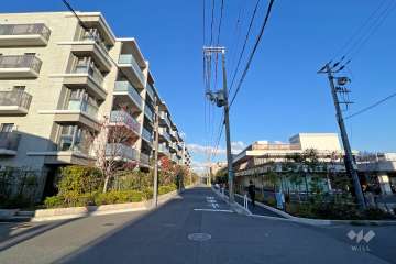 敷地南側の前面道路(西側から)