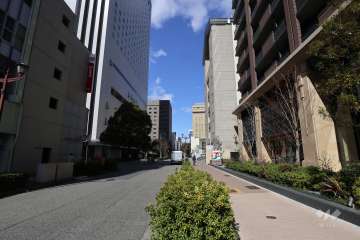 敷地西側の前面道路（南側から）