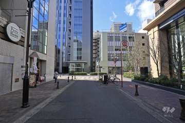 敷地南側の前面道路（東側から）