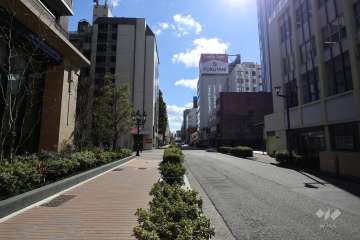 敷地西側の前面道路（北側から）