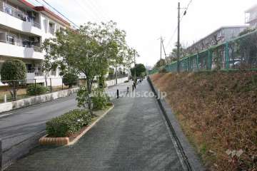 敷地南側の前面道路（西側から）